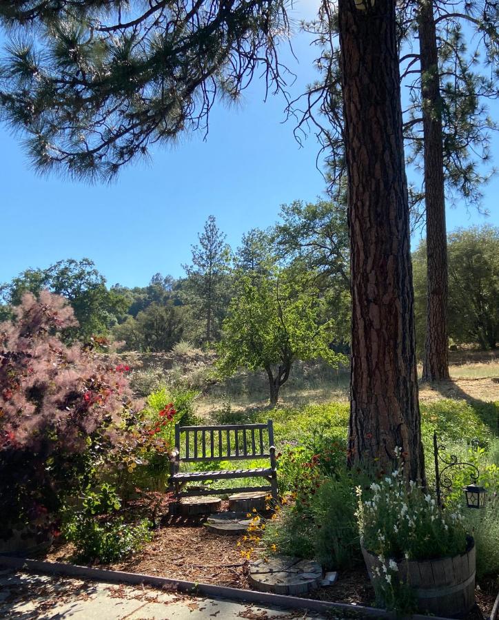 Kin House Guest Suite Oakhurst Dış mekan fotoğraf